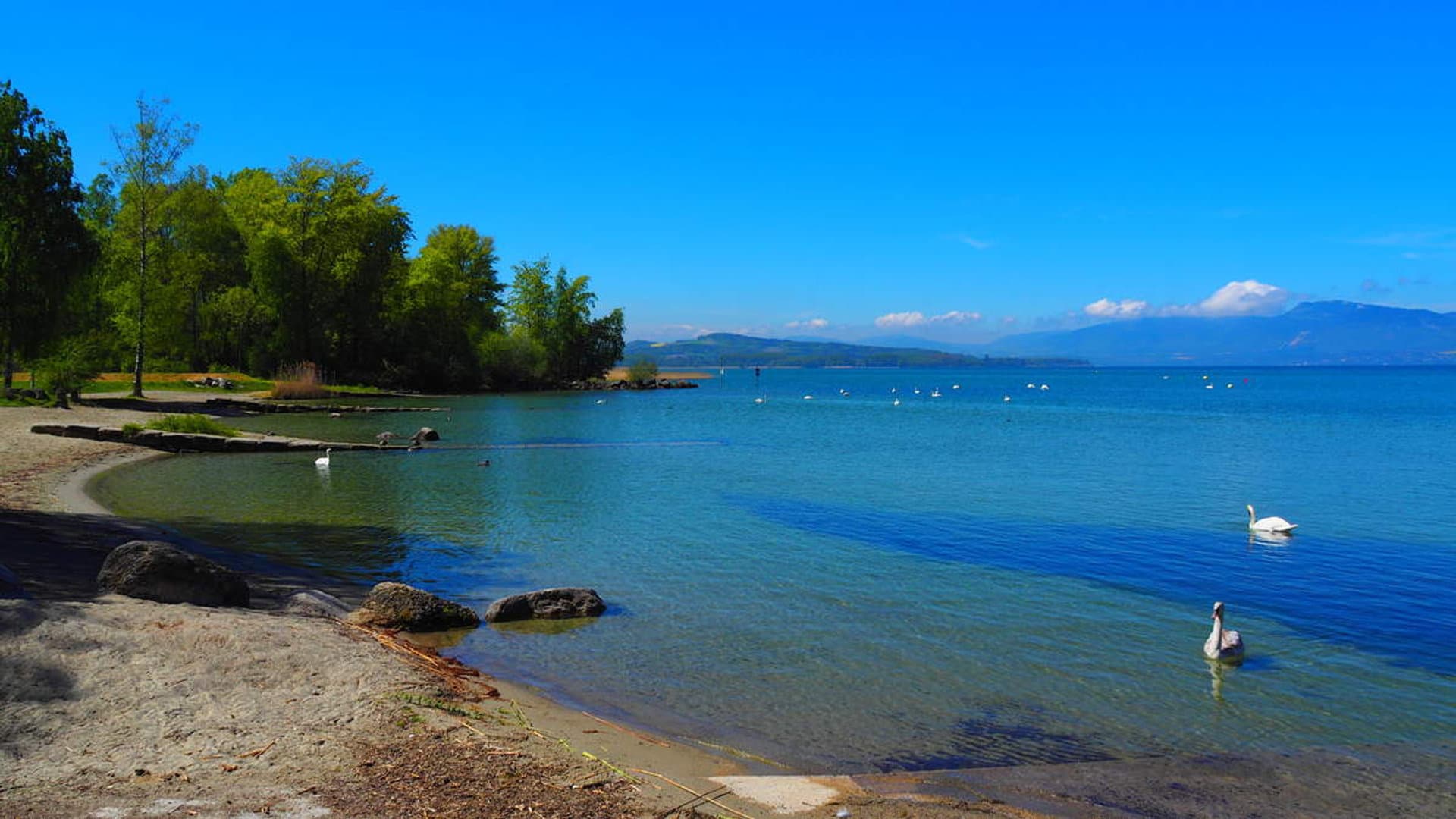 Baie d'Auvernier